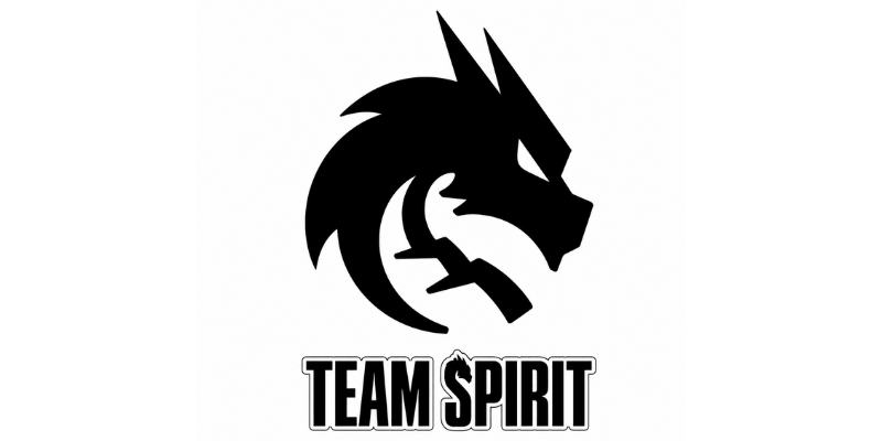Team Spirit Merch